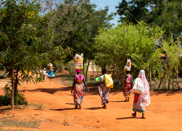 Community Needs Assessment and Engagement